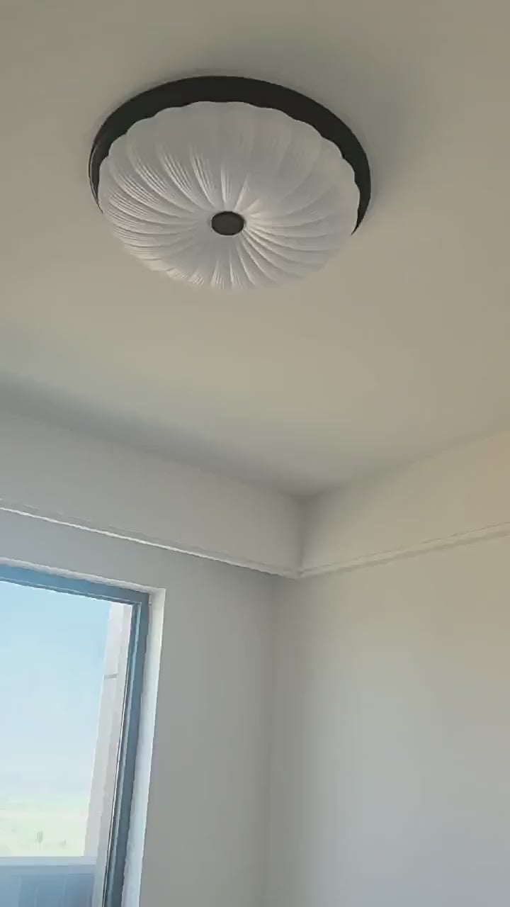 Study bedroom ceiling light LED minimalist modern lighting fixture