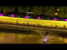 Load and play video in Gallery viewer, LED Wheat Light Outdoor Waterproof Garden Landscape Lighting Decor 10pcs
