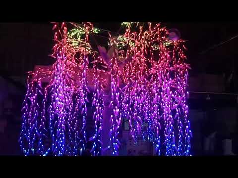 DMX512 smart controlled Multi color LED willow tree lights Height:3.5m(11.5ft)