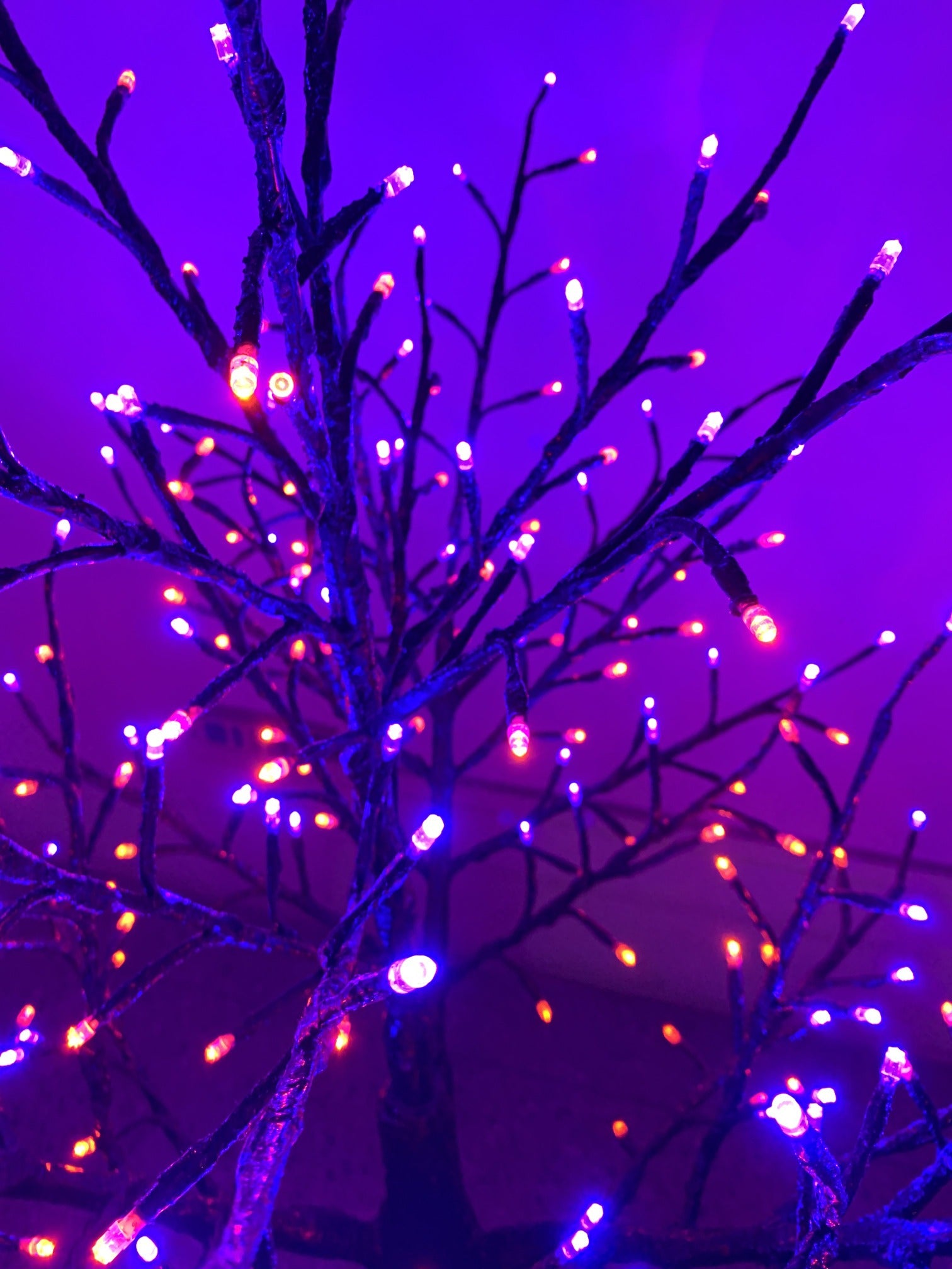 LED pink glow tree light