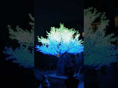 20ft DMX512 smart controlled Multi color Christmas decorations large outdoor LED Ginkgo tree